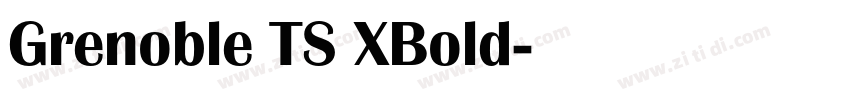 Grenoble TS XBold字体转换